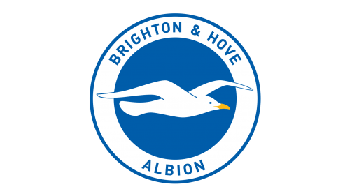 Brighton & Hove Albion